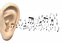 What is Musical Ear Syndrome?